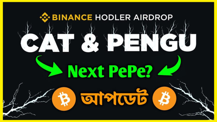 Cat and Pengu Coin; cat coin; pengu coin;