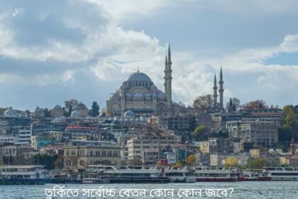 Highest Paying Jobs in Turkey for Foreigners