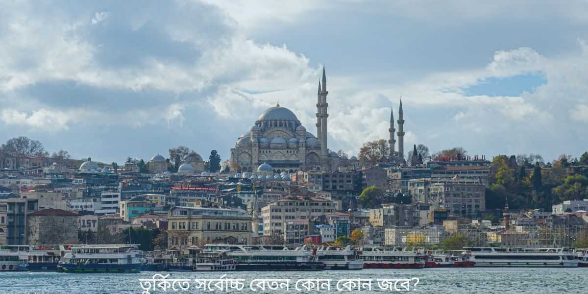 Highest Paying Jobs in Turkey for Foreigners: A Guide for Bangladeshis Dreaming Big 1 Highest Paying Jobs in Turkey for Foreigners